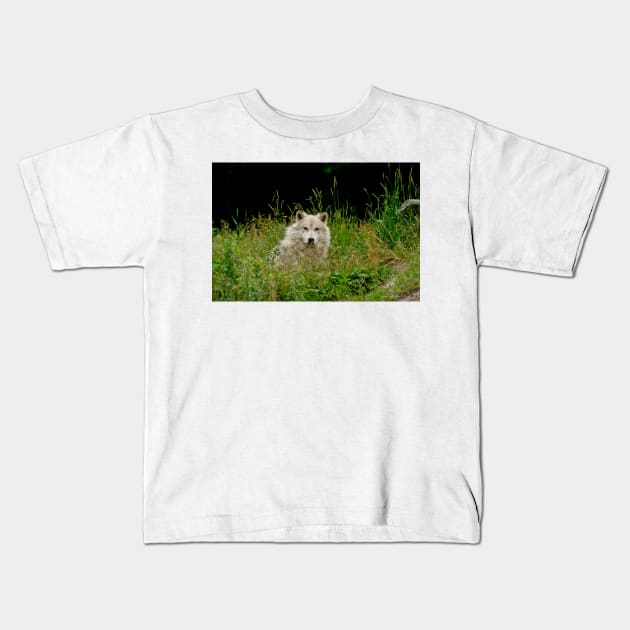 Arctic Wolf Kids T-Shirt by jaydee1400